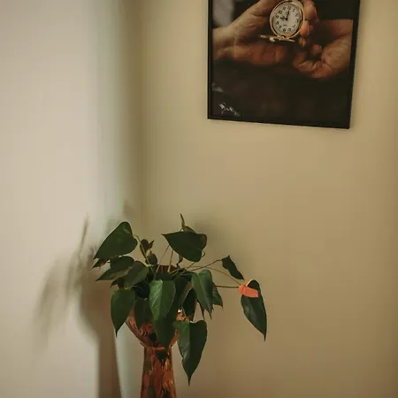Fado Ondas Apartament *
